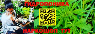 марки nbome Кингисепп