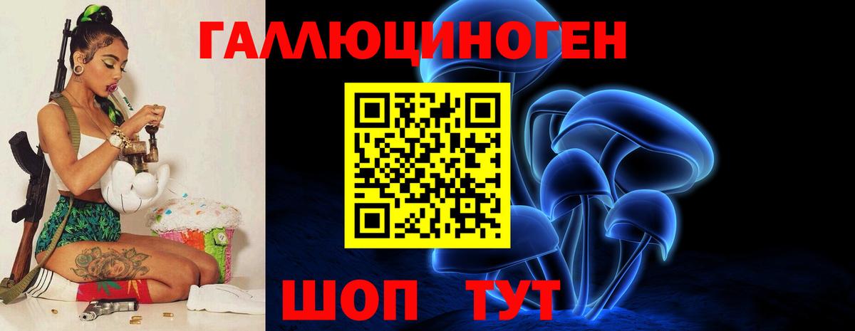 Галлюциногенные грибы Psilocybe Кунгур