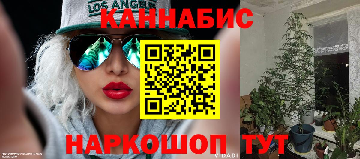 Шишки марихуана ГИДРОПОН  Вход с VPN  Бошки марихуана индика  Шишки марихуана THC 21%  Кунгур  Марихуана VHQ 